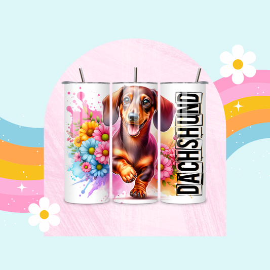Dachshund drinks tumbler