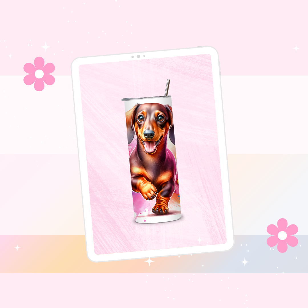 Dachshund drinks tumbler